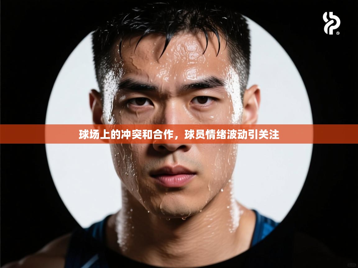 球场上的冲突和合作，球员情绪波动引关注  第1张