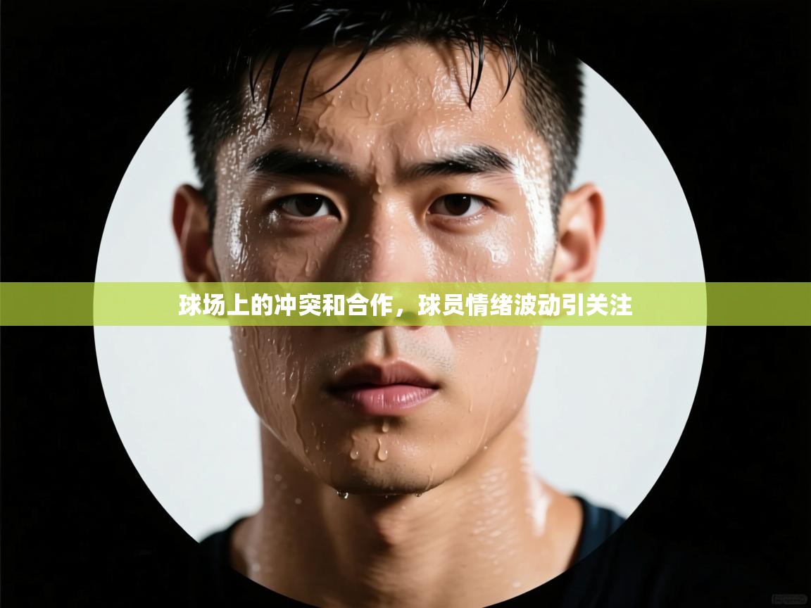 球场上的冲突和合作，球员情绪波动引关注  第2张