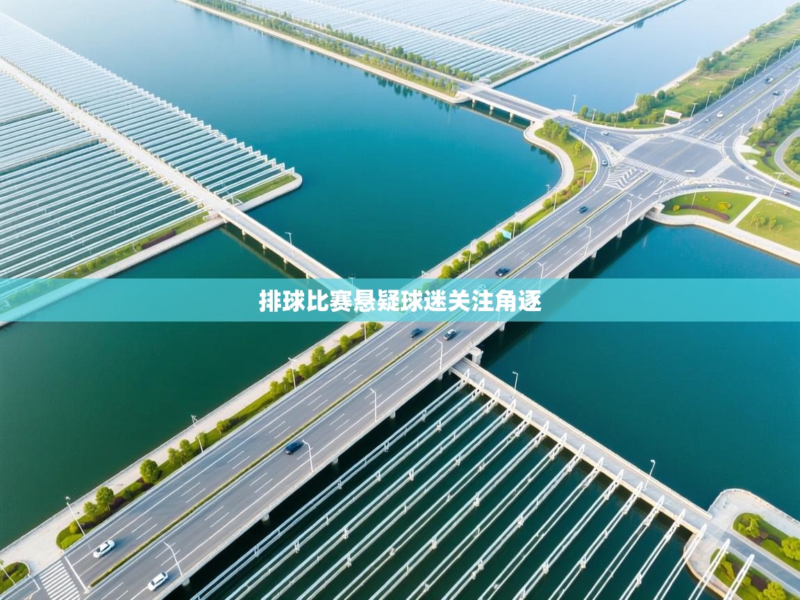 排球比赛悬疑球迷关注角逐 第1张