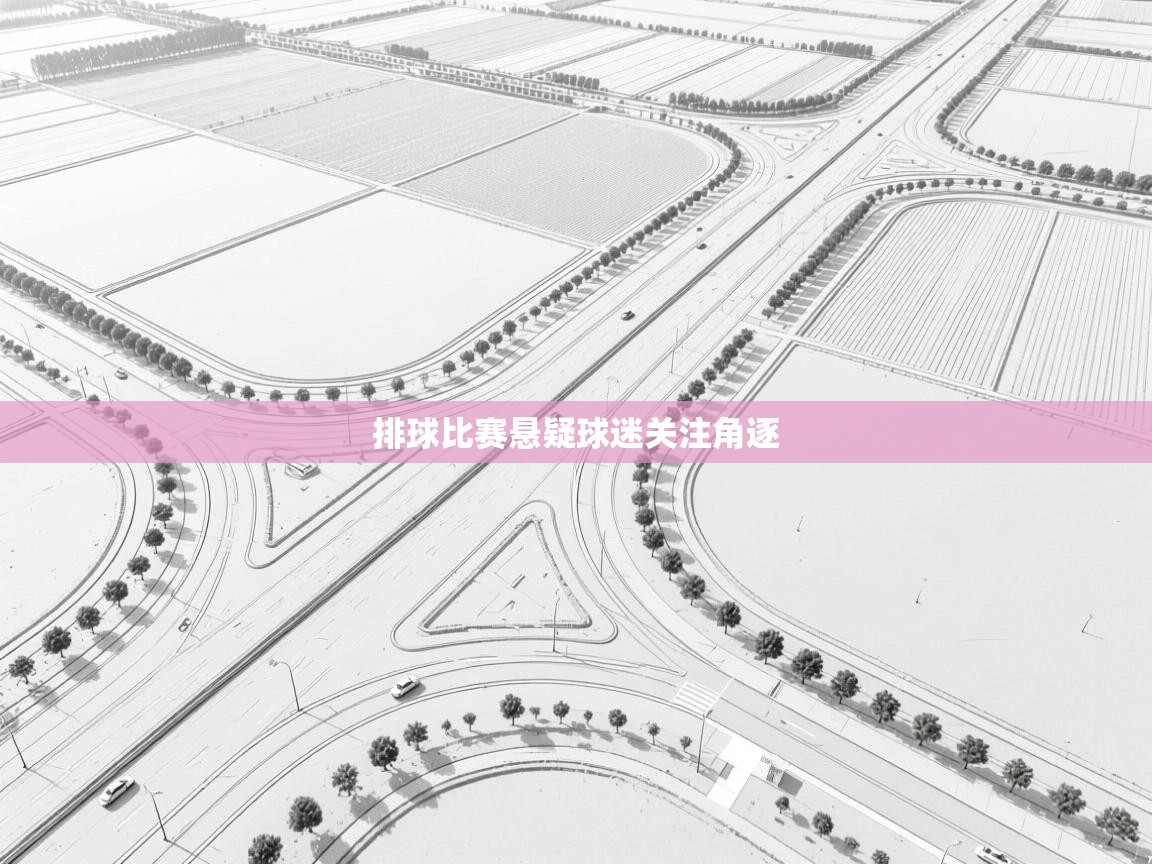 排球比赛悬疑球迷关注角逐 第2张